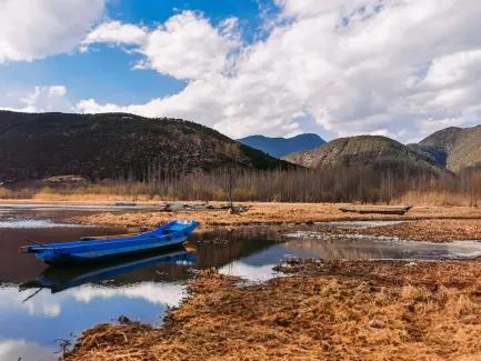 Winning Kasino Apl Mudah Alih